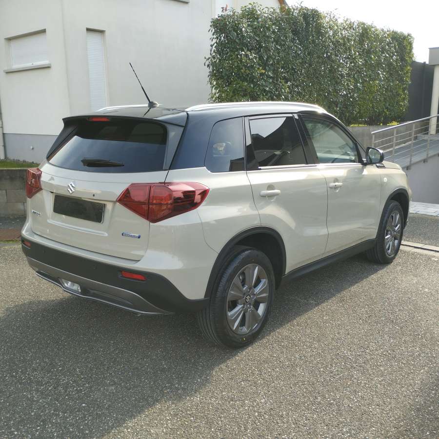 SUZUKI